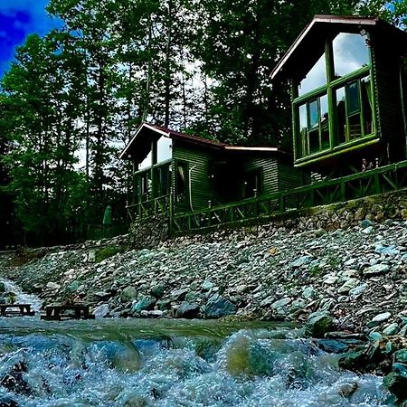 Doga Su Minimal Evler Villa Sapanca Exterior foto