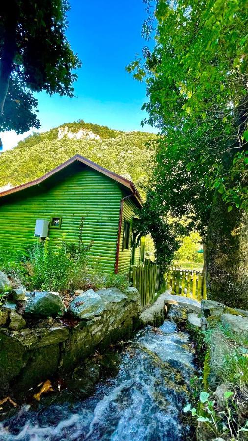 Doga Su Minimal Evler Villa Sapanca Exterior foto