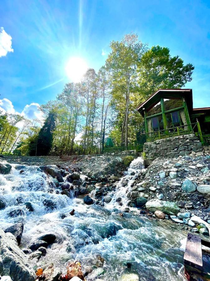 Doga Su Minimal Evler Villa Sapanca Exterior foto